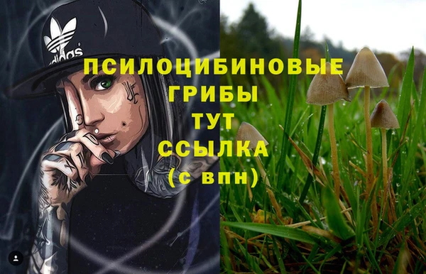 спайс Армянск