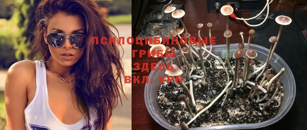 МДПВ Балахна